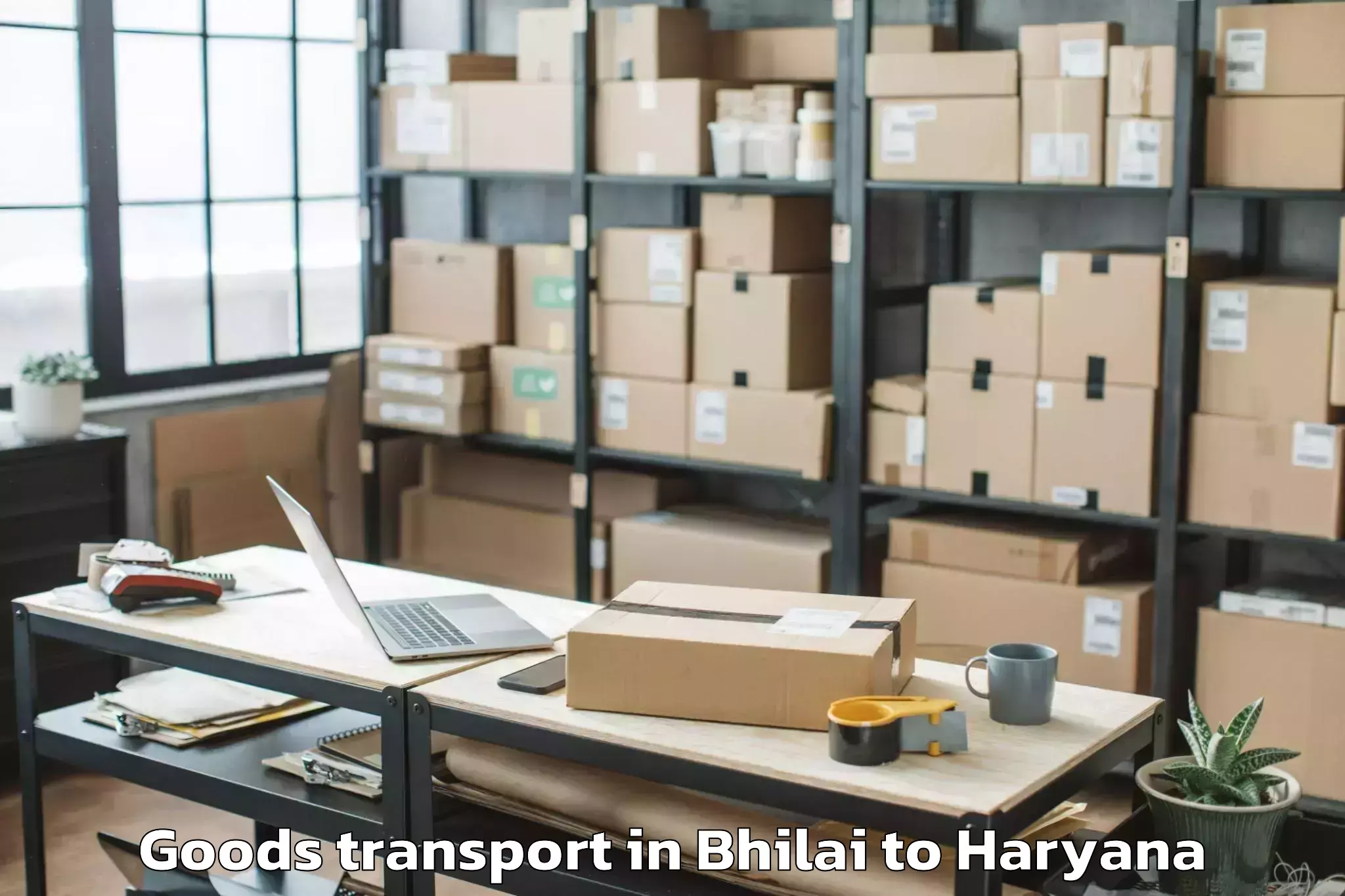 Comprehensive Bhilai to Sahara Mall Goods Transport